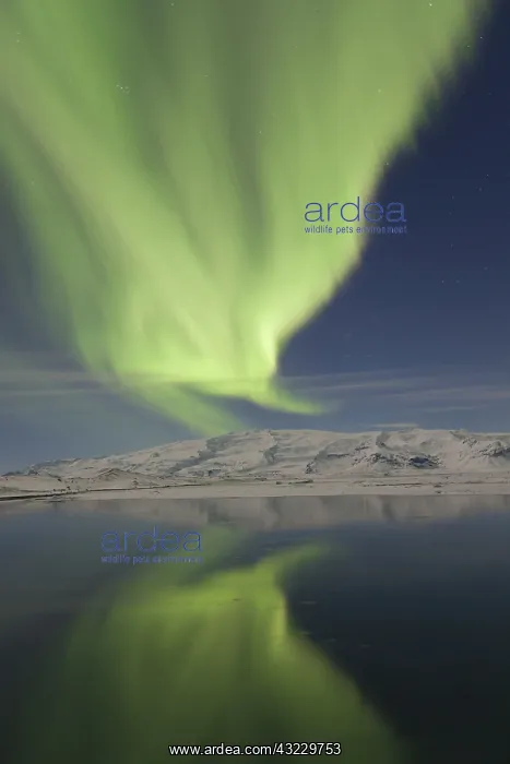  : Northern Lights