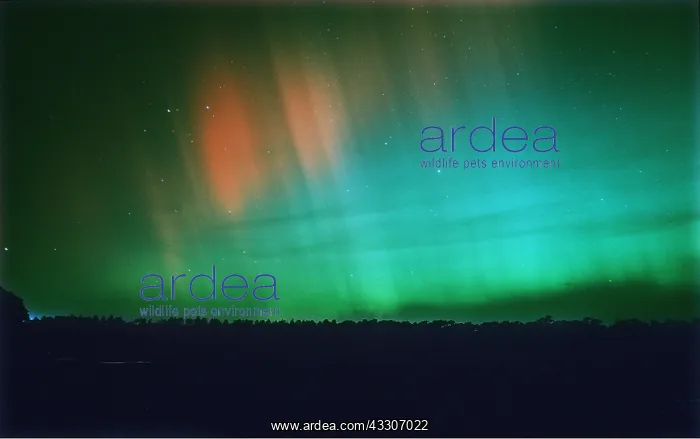 : Northern Lights : Northern Lights