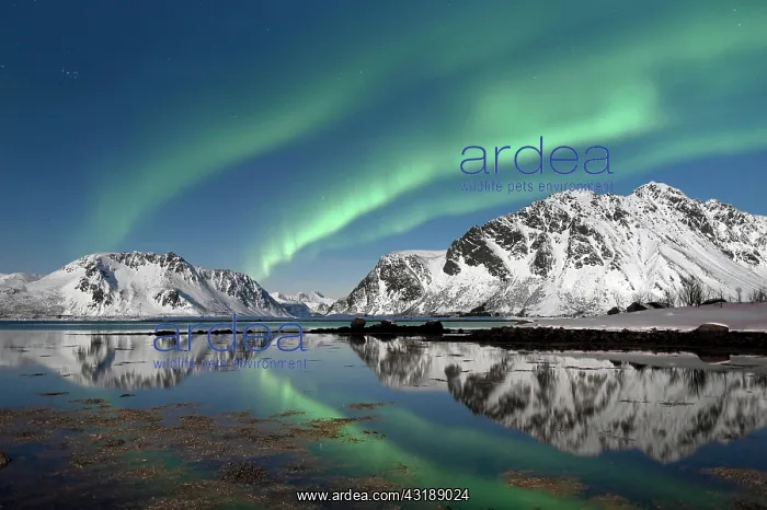  : Northern lights, aurora borealis, seen from Lyngv nrstranda