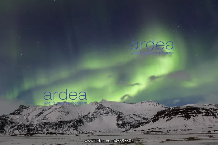: Northern Lights, Aurora borealis, weather phenomenon : Northern Lights, Aurora borealis, weather phenomenon