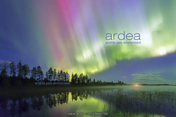 : Northern Lights, Aurora borealis, polar lights, weather : Northern Lights, Aurora borealis, polar lights, weather