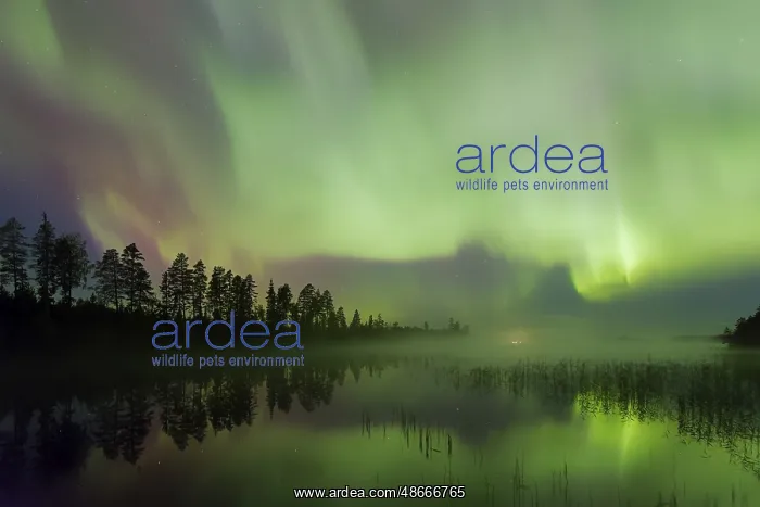 : Northern Lights, Aurora borealis, polar lights, weather : Northern Lights, Aurora borealis, polar lights, weather