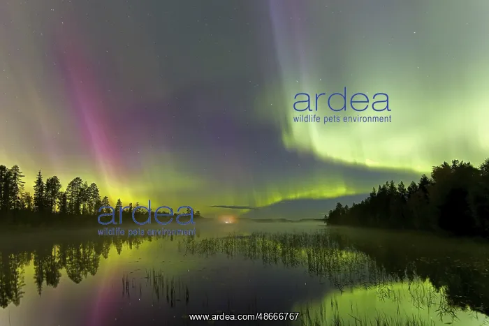 : Northern Lights, Aurora borealis, polar lights, weather : Northern Lights, Aurora borealis, polar lights, weather
