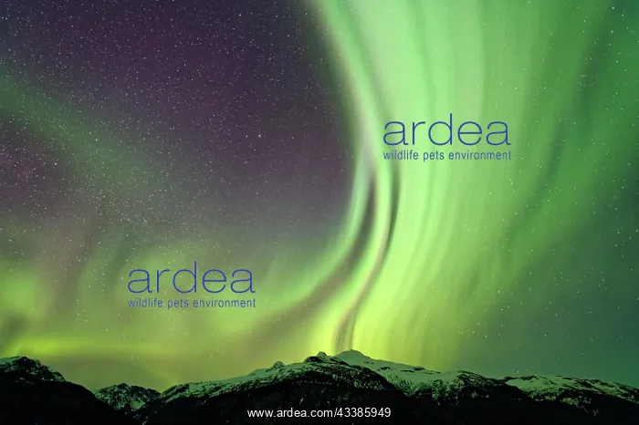 : Northern lights (Aurora borealis) in different colours : Northern lights (Aurora borealis) in different colours