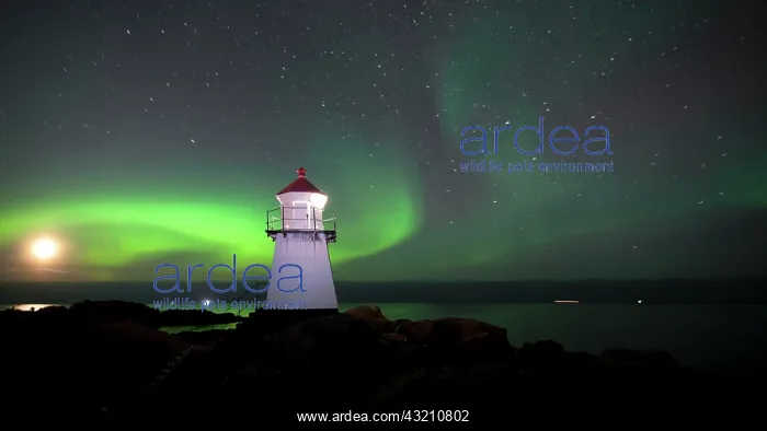 : Northern lights, aurora borealis, lighthouse near : Northern lights, aurora borealis, lighthouse near