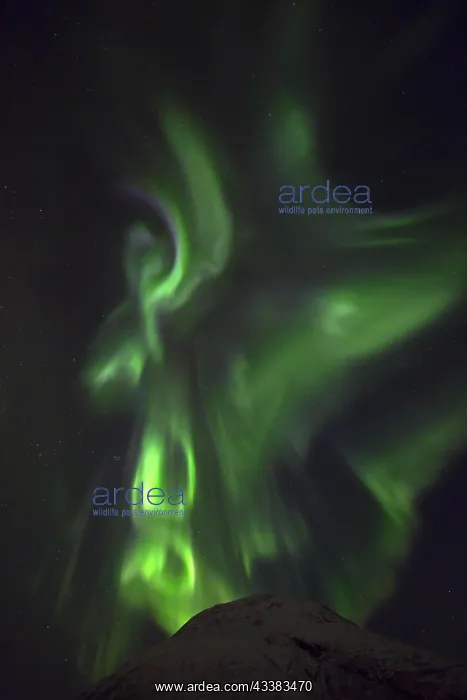 : Northern Lights (Aurora borealis) behind mountain : Northern Lights (Aurora borealis) behind mountain