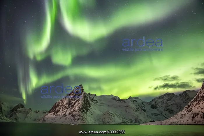 : Northern Lights (Aurora Borealis) over mountains : Northern Lights (Aurora Borealis) over mountains