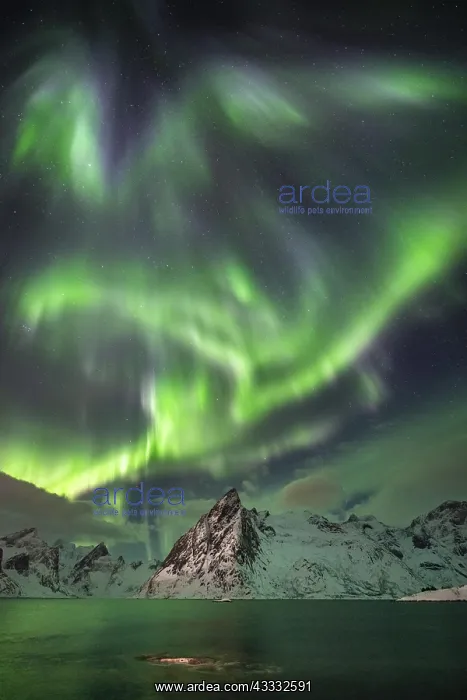  : Northern Lights (Aurora Borealis) over mountains