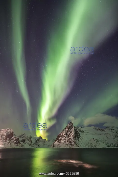 : Northern Lights (Aurora Borealis) over mountains : Northern Lights (Aurora Borealis) over mountains