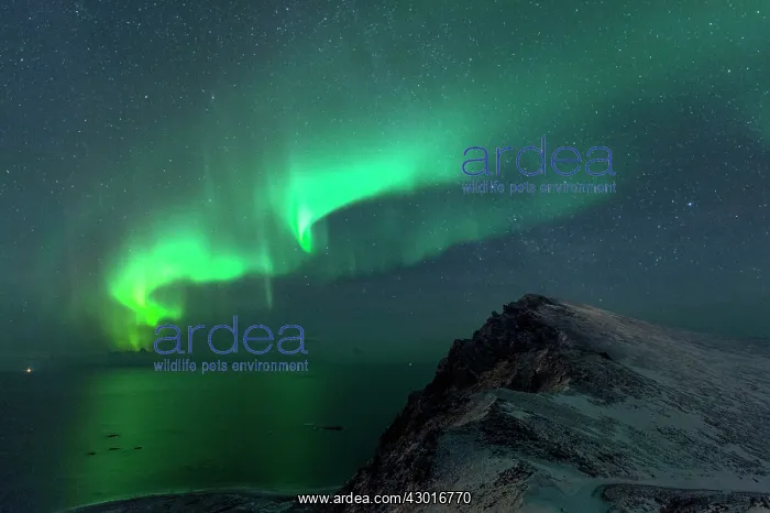 : Northern Lights / Aurora Borealis with mountains and sea : Northern Lights / Aurora Borealis with mountains and sea