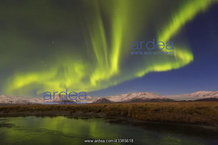 : Northern Lights, Aurora borealis, polar lights : Northern Lights, Aurora borealis, polar lights