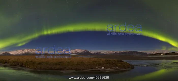 : Northern Lights, Aurora borealis, polar lights : Northern Lights, Aurora borealis, polar lights