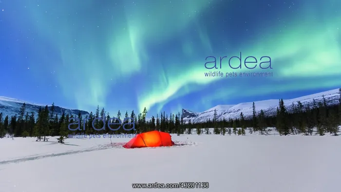 : Northern Lights (Aurora borealis) above a red illuminated : Northern Lights (Aurora borealis) above a red illuminated
