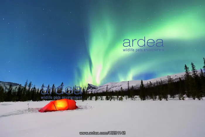 : Northern Lights (Aurora borealis) above a red illuminated : Northern Lights (Aurora borealis) above a red illuminated