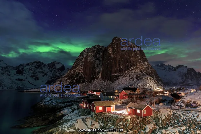 : Northern Lights or Aurora Borealis over red rorbuer : Northern Lights or Aurora Borealis over red rorbuer