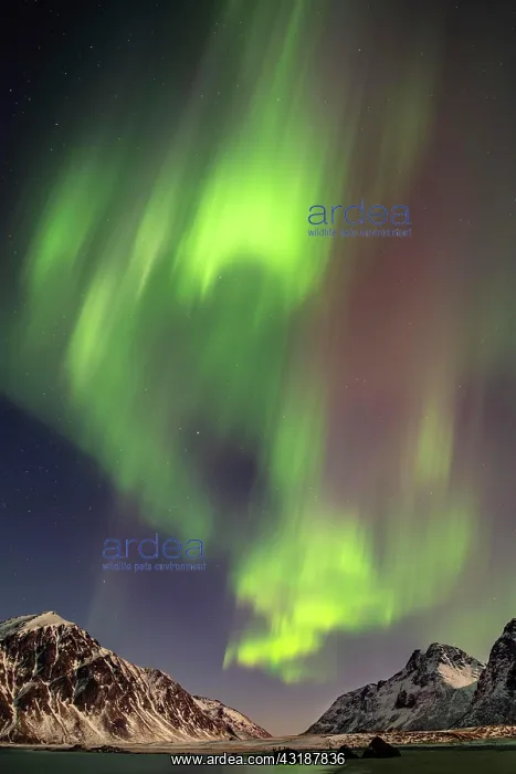 : Northern lights (Aurora borealis), sea, mountains : Northern lights (Aurora borealis), sea, mountains