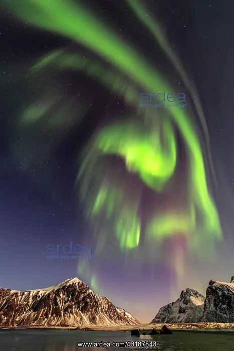 : Northern lights (Aurora borealis), sea, mountains : Northern lights (Aurora borealis), sea, mountains