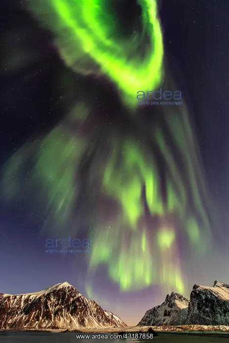 : Northern lights (Aurora borealis), sea, mountains : Northern lights (Aurora borealis), sea, mountains