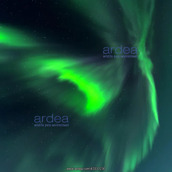 : Northern lights (Aurora borealis), sea, mountains : Northern lights (Aurora borealis), sea, mountains