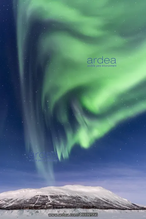 : Northern Lights (Aurora Borealis) over snowy mountains : Northern Lights (Aurora Borealis) over snowy mountains