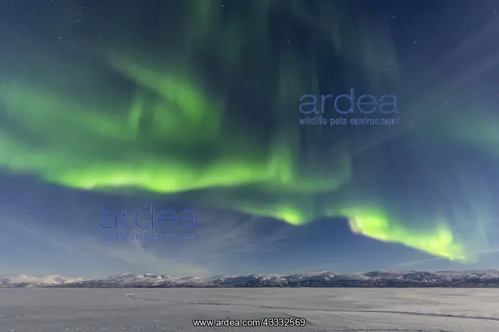  : Northern Lights (Aurora Borealis) over snowy mountains