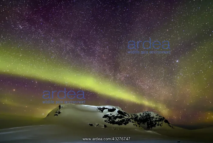 : Northern Lights on Cape Swainson, North East Coast : Northern Lights on Cape Swainson, North East Coast