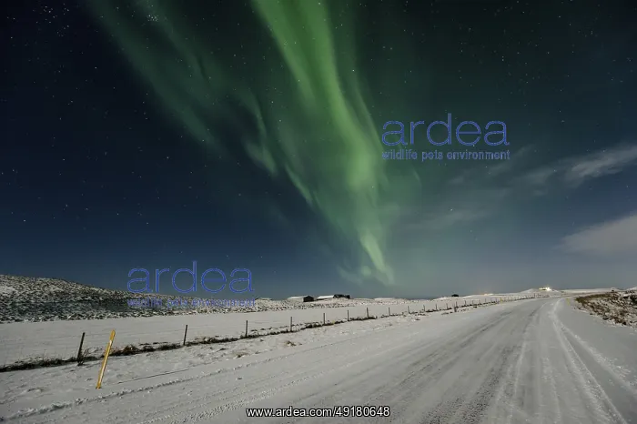 : Northern Lights, Close to Vik, Ring Road : Northern Lights, Close to Vik, Ring Road