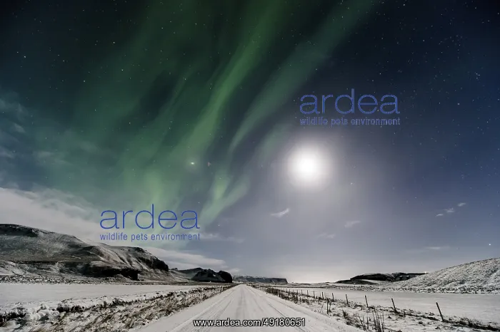 : Northern Lights, Close to Vik, Ring Road : Northern Lights, Close to Vik, Ring Road