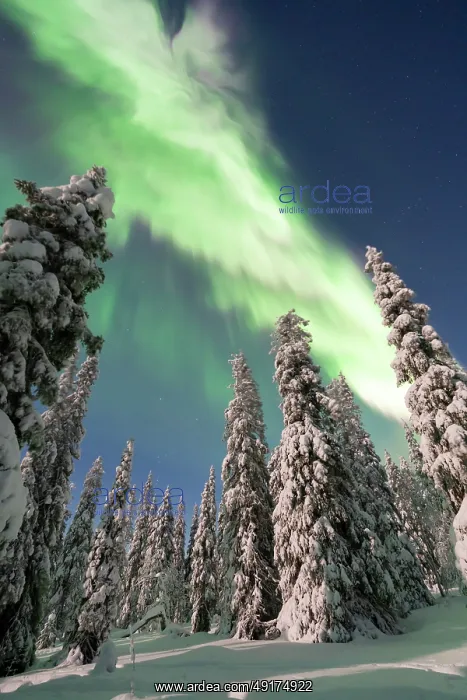 : Northern lights Finland : Northern lights Finland