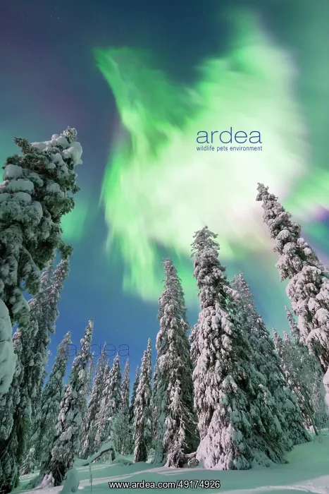  : Northern lights Finland