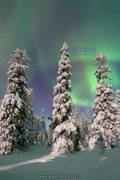 : Northern lights Finland : Northern lights Finland