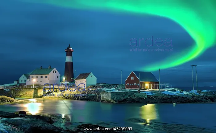 : Northern lights Hamaroy lighthouse in Norway : Northern lights Hamaroy lighthouse in Norway