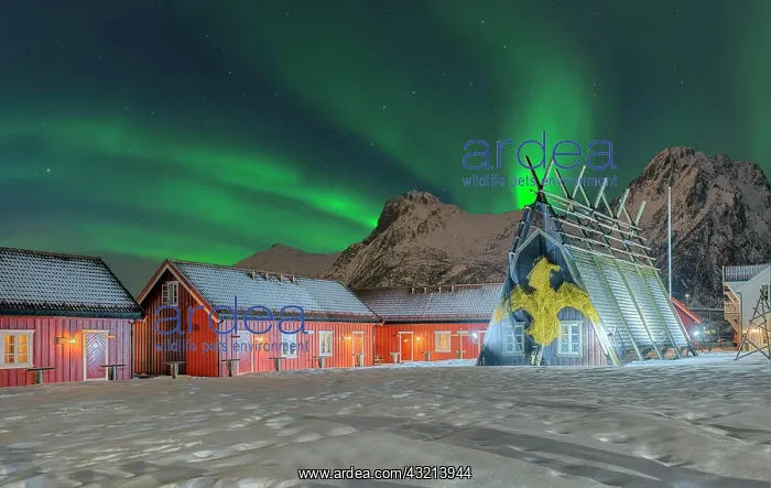  : Northern Lights Historic fisherman's cottages Svolva