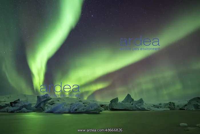 : Northern Lights over icebergs in the glacier lagoon : Northern Lights over icebergs in the glacier lagoon