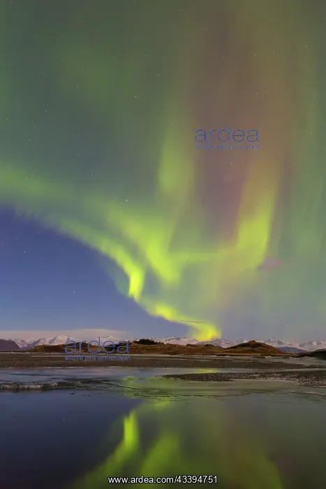 : Northern Lights Iceland : Northern Lights Iceland