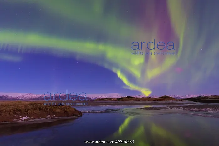 : Northern Lights Iceland : Northern Lights Iceland