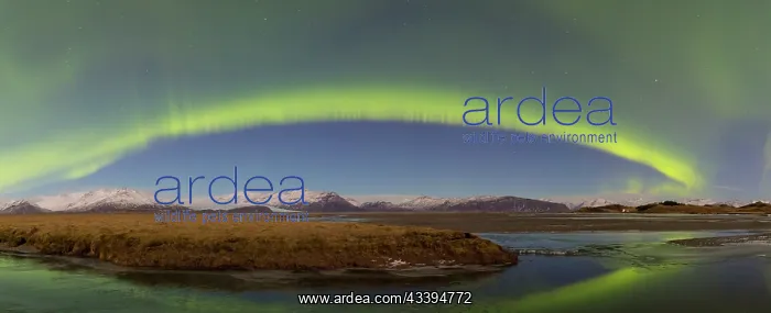 : Northern Lights Iceland : Northern Lights Iceland