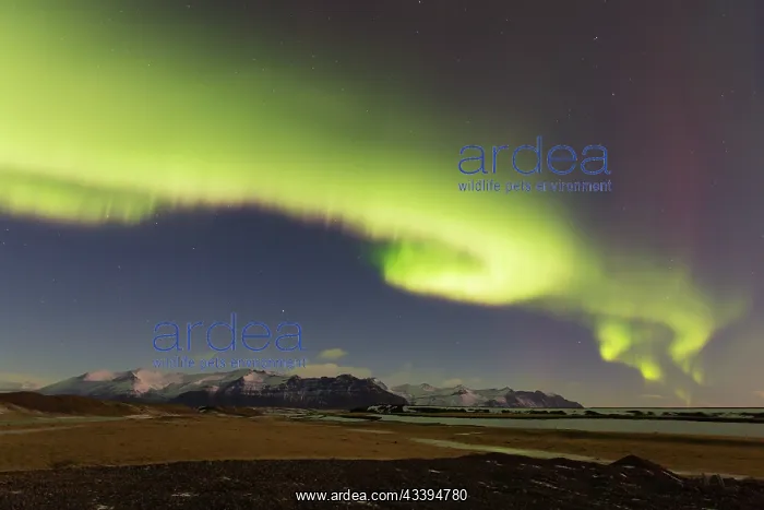 : Northern Lights Iceland : Northern Lights Iceland