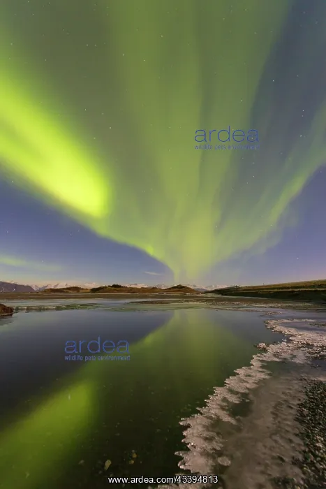 : Northern Lights Iceland : Northern Lights Iceland