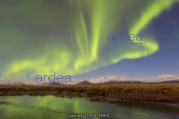 : Northern Lights Iceland : Northern Lights Iceland