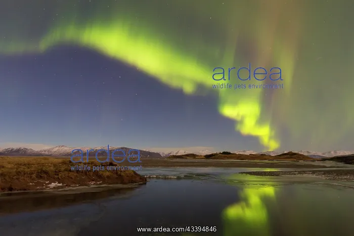 : Northern Lights Iceland : Northern Lights Iceland