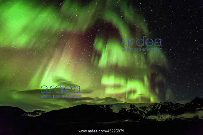: Northern lights, Iceland, Europe : Northern lights, Iceland, Europe