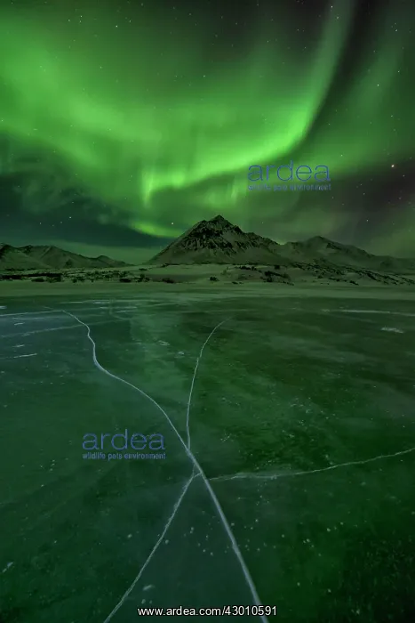 : Northern Lights Ogilivie Mountains in the background : Northern Lights Ogilivie Mountains in the background