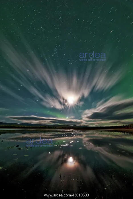 : Northern Lights reflected in lake at night Yukon, Canada : Northern Lights reflected in lake at night Yukon, Canada