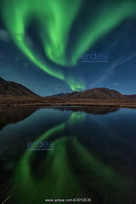  : Northern Lights reflected in lake at night Yukon, Canada