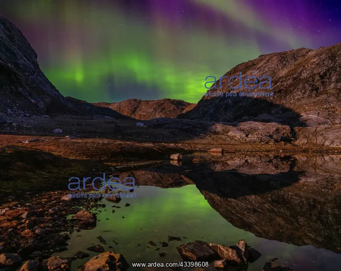 : Northern Lights reflection in a pond during full : Northern Lights reflection in a pond during full