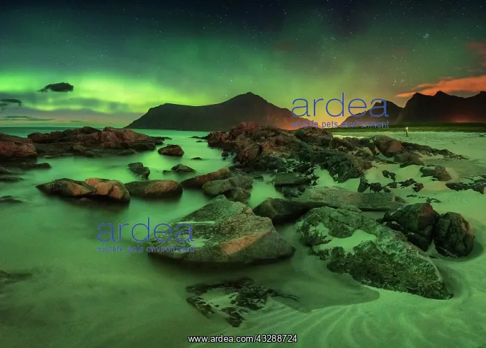 : Northern lights over rocky beach, in the back tiny : Northern lights over rocky beach, in the back tiny