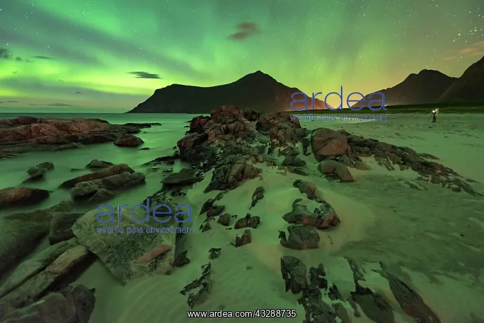 : Northern lights over rocky beach, in the back tiny : Northern lights over rocky beach, in the back tiny