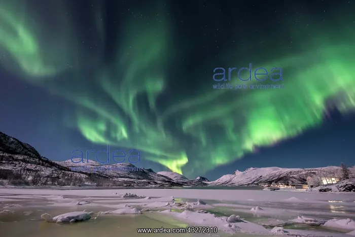 : Northern lights over the Senja Island, Troms, Norway : Northern lights over the Senja Island, Troms, Norway