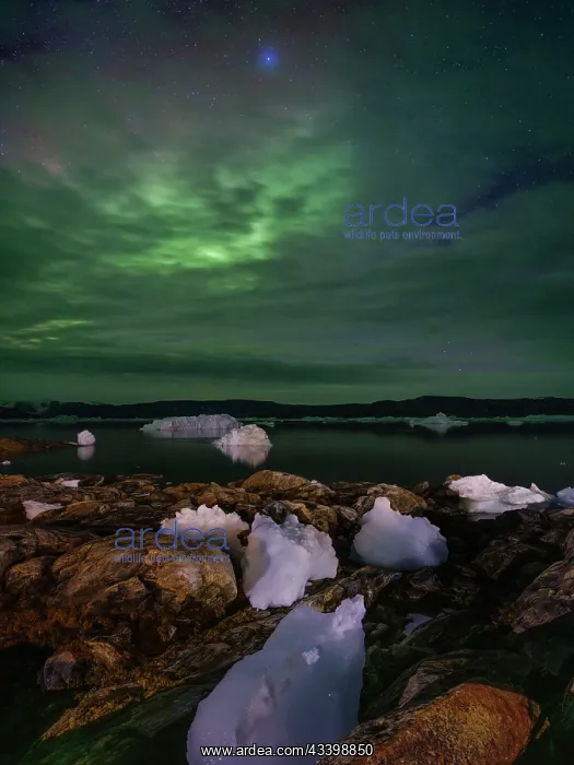 : Northern Lights over the Sermilik (Sermiligaaq) : Northern Lights over the Sermilik (Sermiligaaq)